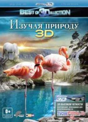   3D (2012)
