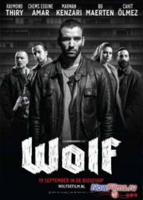 Волк (2013)